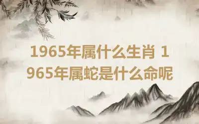 1965生肖|1965年属蛇是什么命，65年出生五行属什么